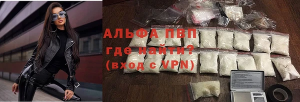 твердый Арсеньев