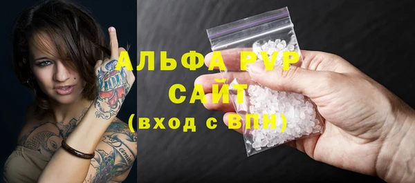 СК Пересвет