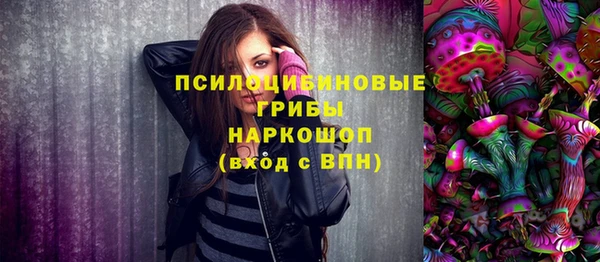 твердый Арсеньев