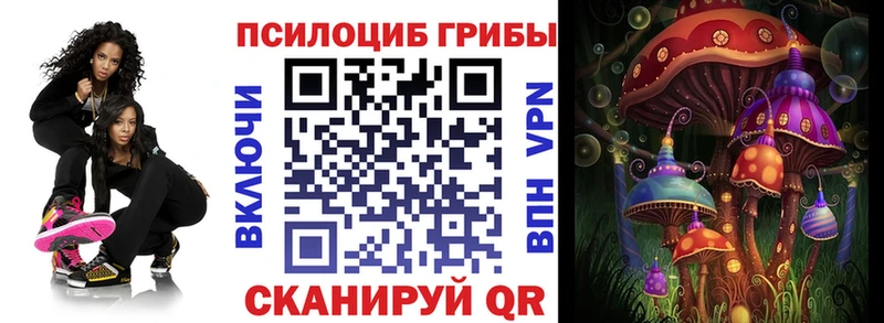 Псилоцибиновые грибы Psilocybine cubensis  Пучеж 